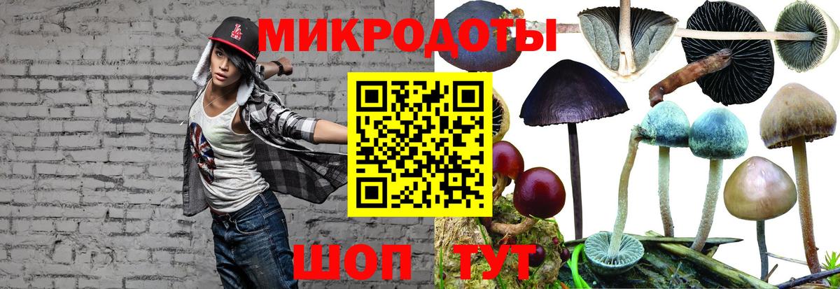 Галлюциногенные грибы MAGIC MUSHROOMS Геленджик